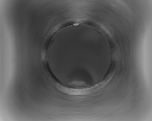 X0000113080044200908281232