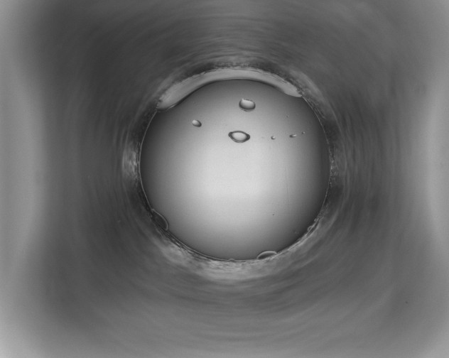 X0000113080045200908281232