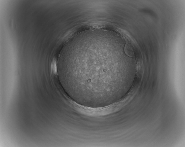 X0000113080046200908281232