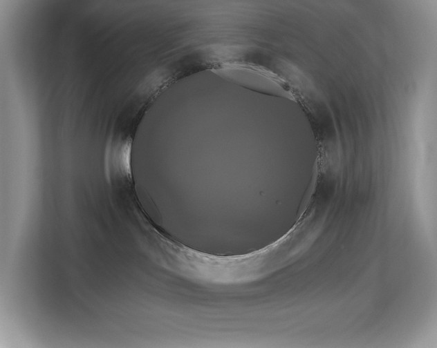 X0000113080047200908281232