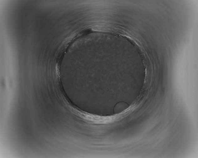 X0000113080048200908281232