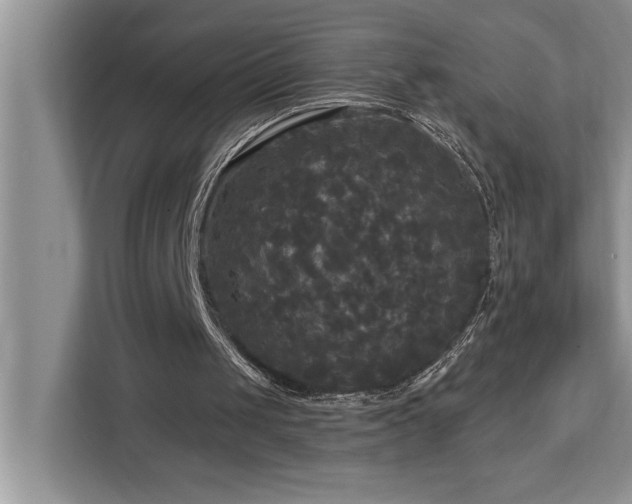 X0000113080049200908281231