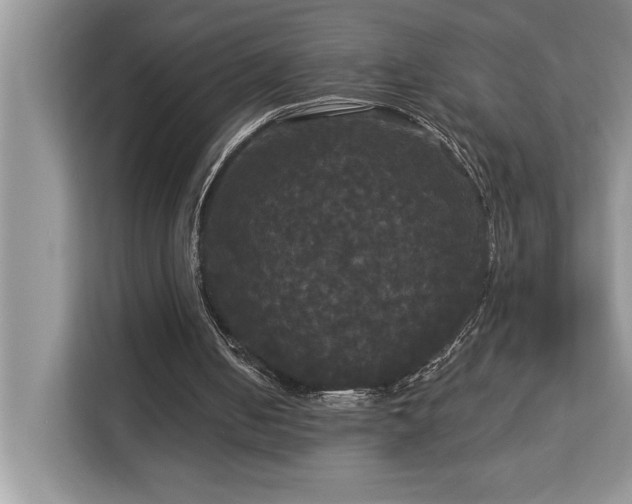 X0000113080050200908281231