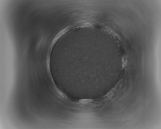 X0000113080051200908281231