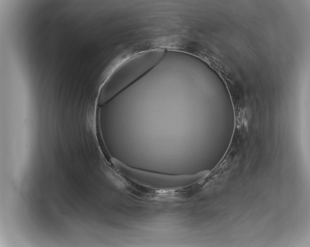 X0000113080052200908281231