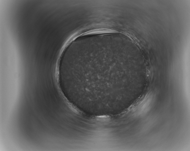 X0000113080053200908281231