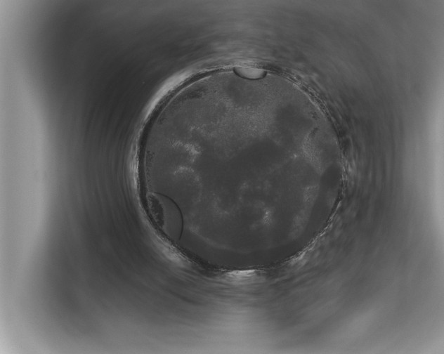 X0000113080054200908281231