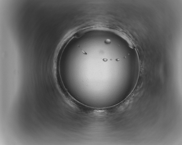 X0000113080055200908281231