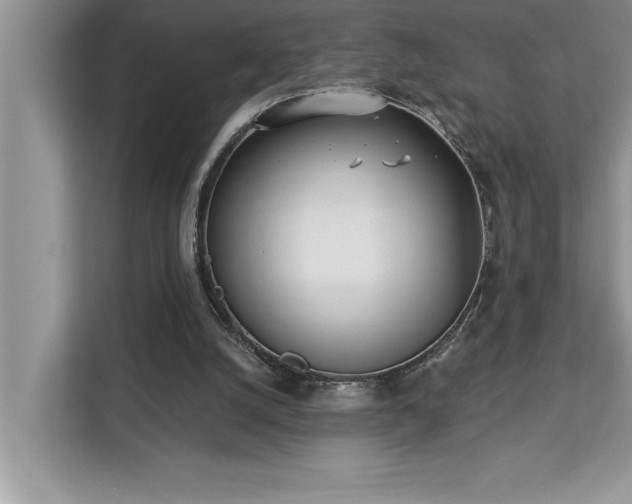 X0000113080056200908281231