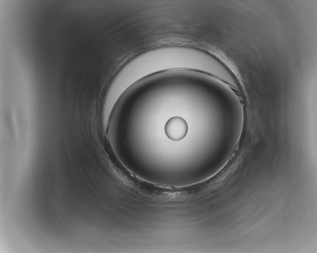 X0000113080057200908281231