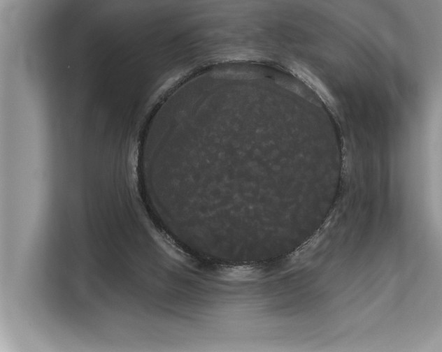 X0000113080058200908281231