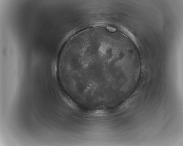 X0000113080059200908281231