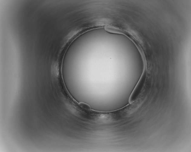 X0000113080060200908281231