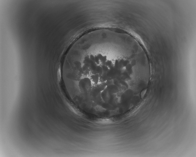 X0000113080061200908281231