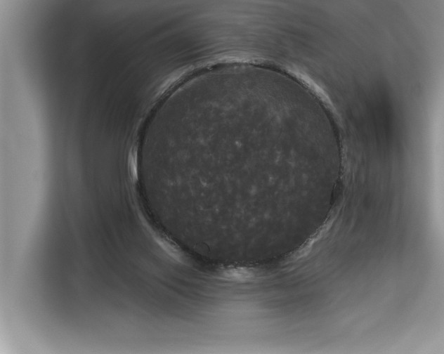 X0000113080062200908281231