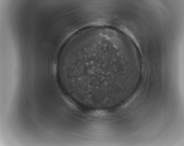 X0000113080063200908281231