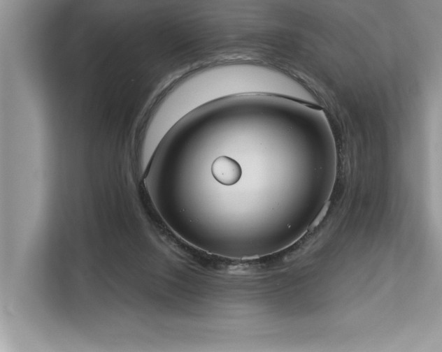 X0000113080064200908281231