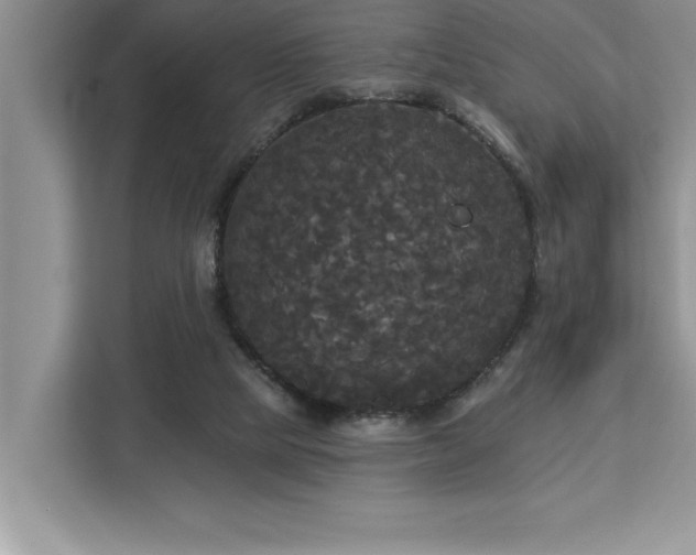 X0000113080065200908281231