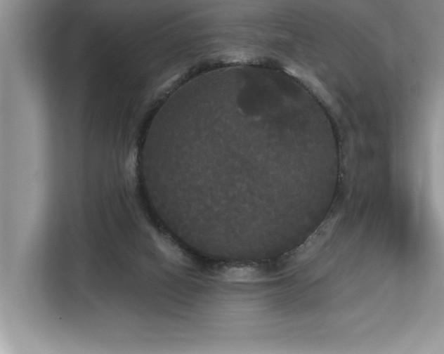 X0000113080066200908281231