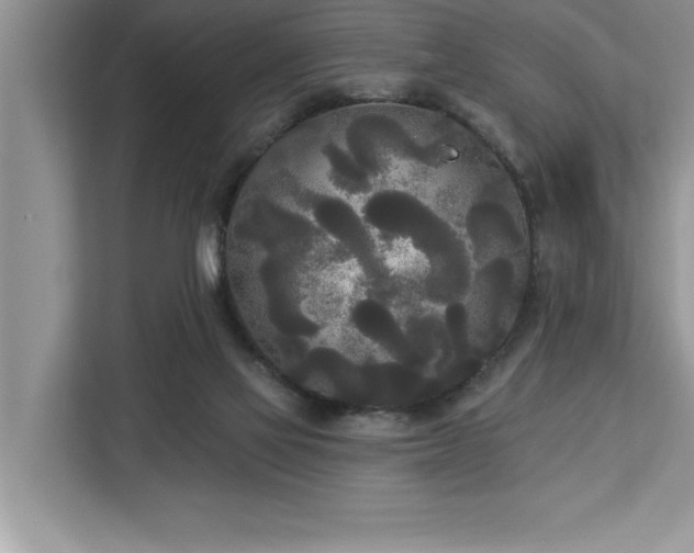 X0000113080069200908281231