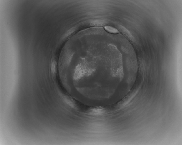 X0000113080071200908281231