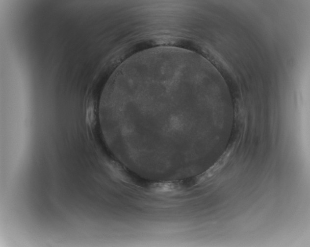 X0000113080074200908281231