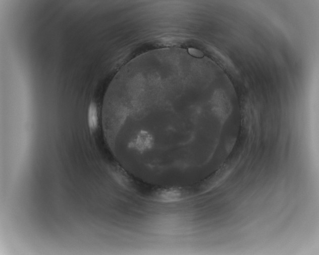 X0000113080075200908281231