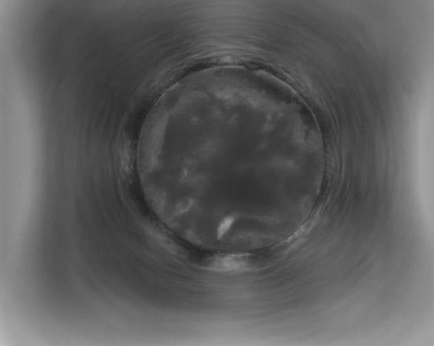 X0000113080078200908281231