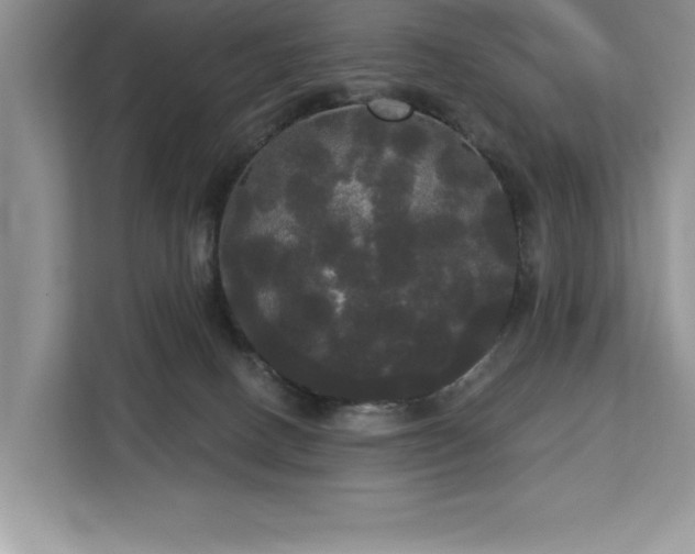 X0000113080082200908281232