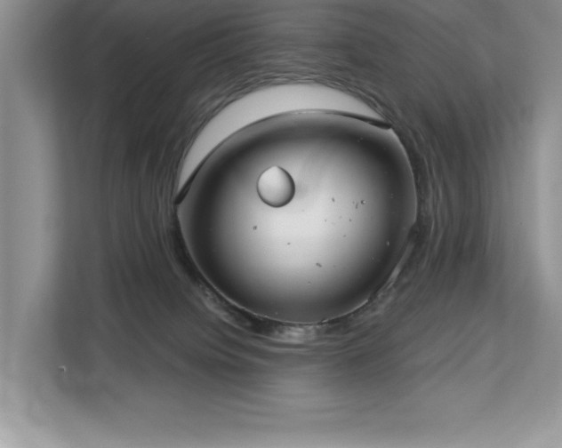 X0000113080084200908281232