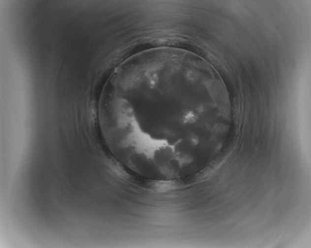 X0000113080085200908281232