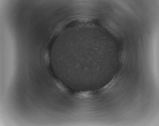 X0000113080086200908281232