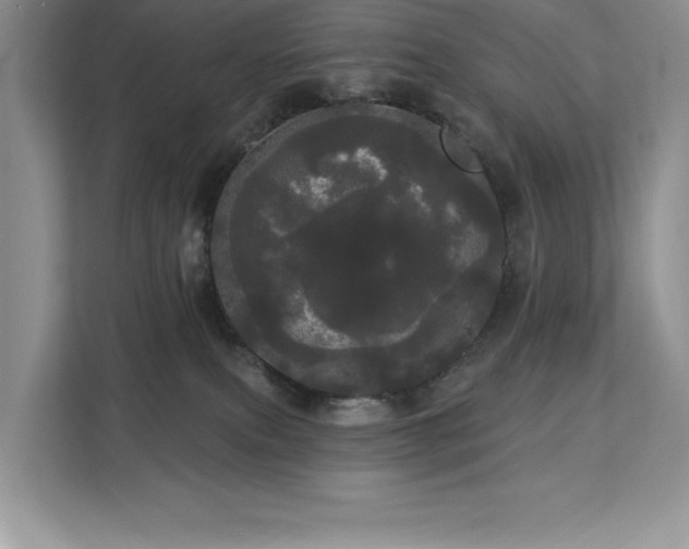 X0000113080087200908281232