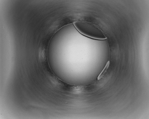 X0000113080088200908281232