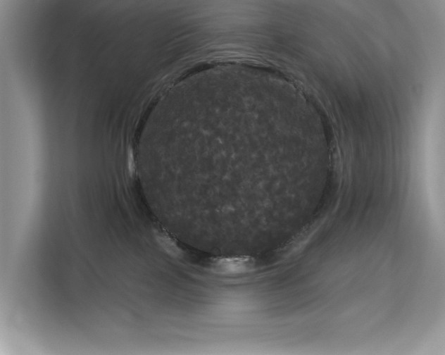 X0000113080089200908281232