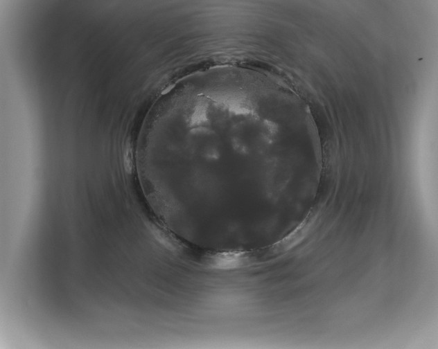 X0000113080090200908281232