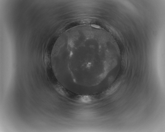 X0000113080091200908281232