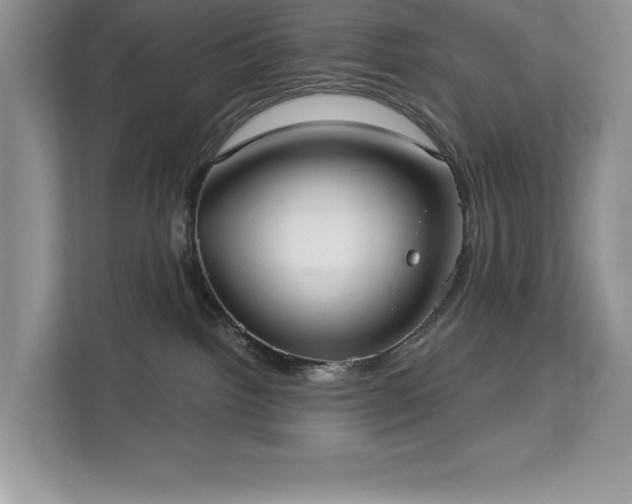 X0000113080092200908281232