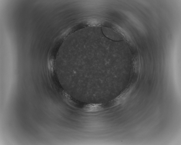 X0000113080093200908281232