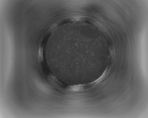 X0000113080094200908281232