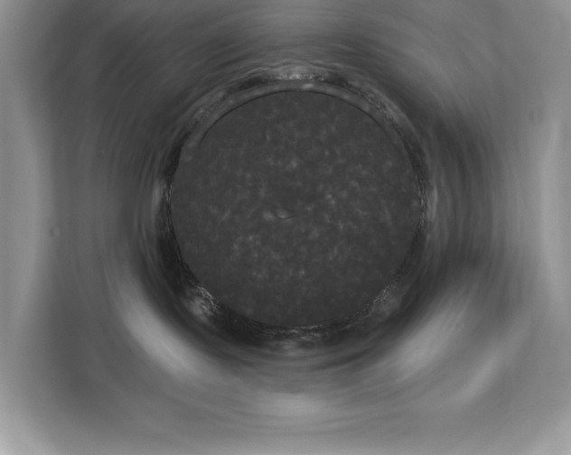 X0000113080095200908281232