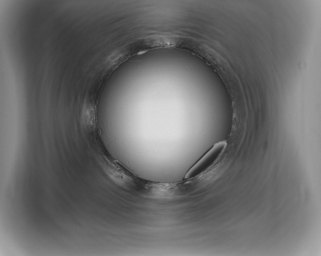 X0000113080096200908281232