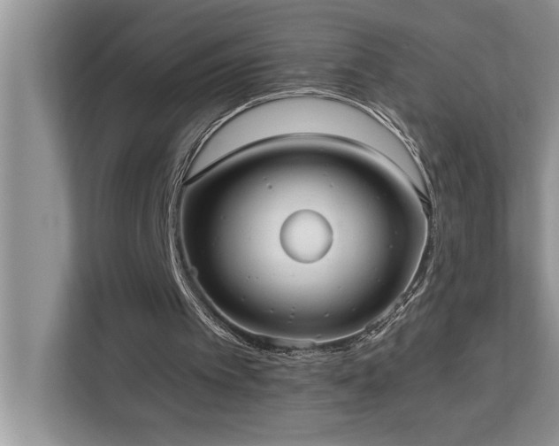 X0000113080097200908281231