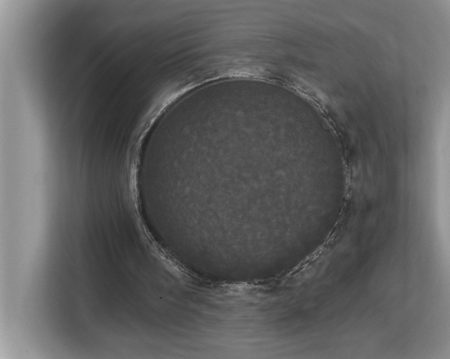 X0000113080098200908281231