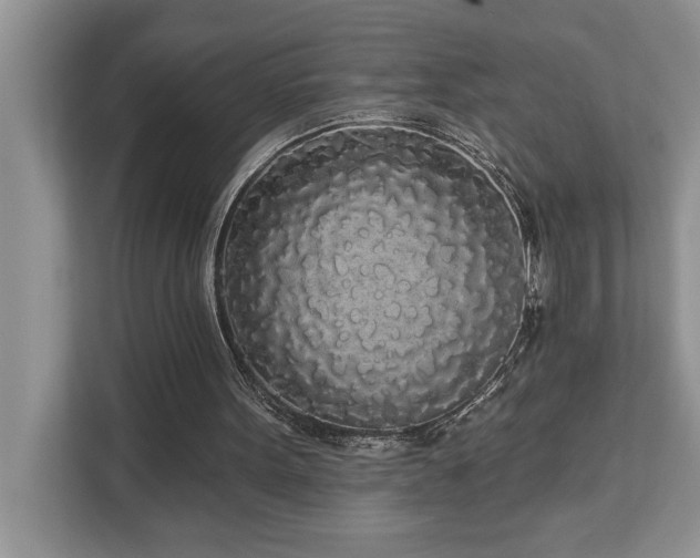 X0000113080099200908281231