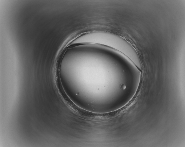 X0000113080101200908281231