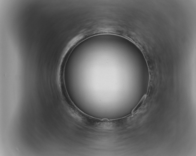 X0000113080104200908281231