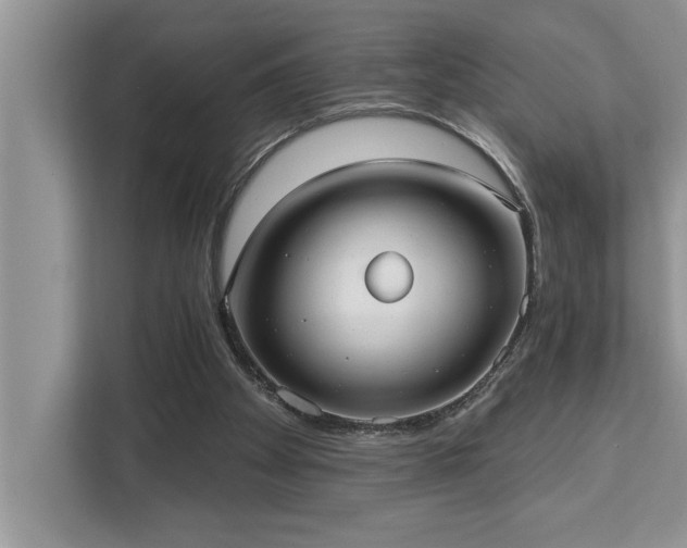 X0000113080105200908281231