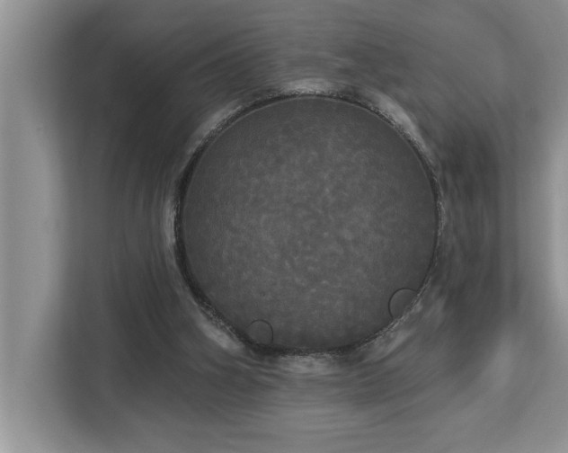 X0000113080106200908281231