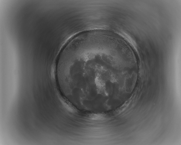 X0000113080107200908281231